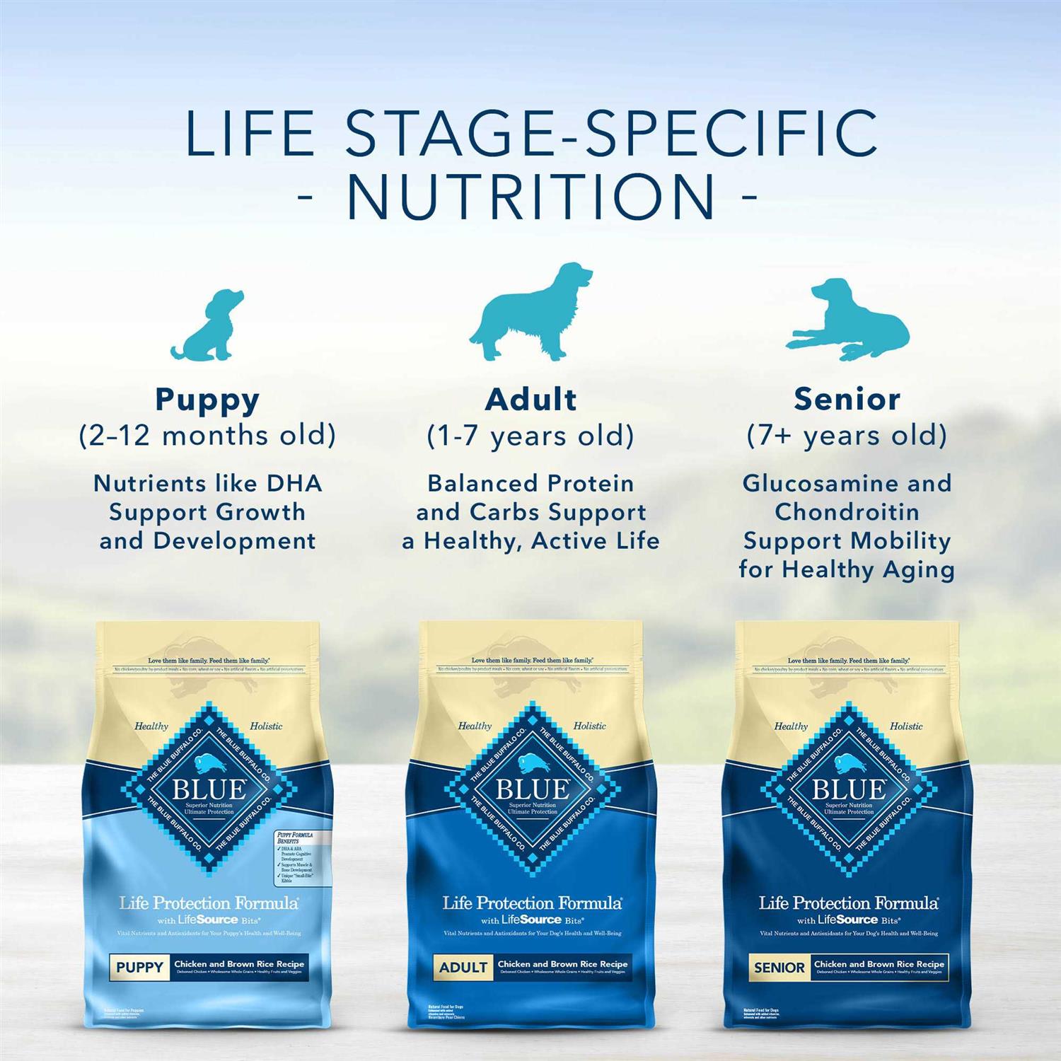 Blue Buffalo Life Protection Healthy Weight Adult Dry Dog Food Chicken & Brown Rice A981