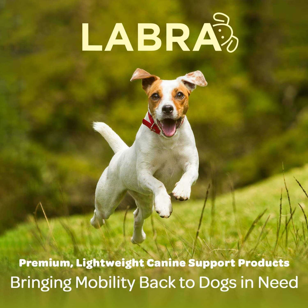 Labra Dog Canine Knee Stifle Brace Wrap Metal Hinged Support Q49063
