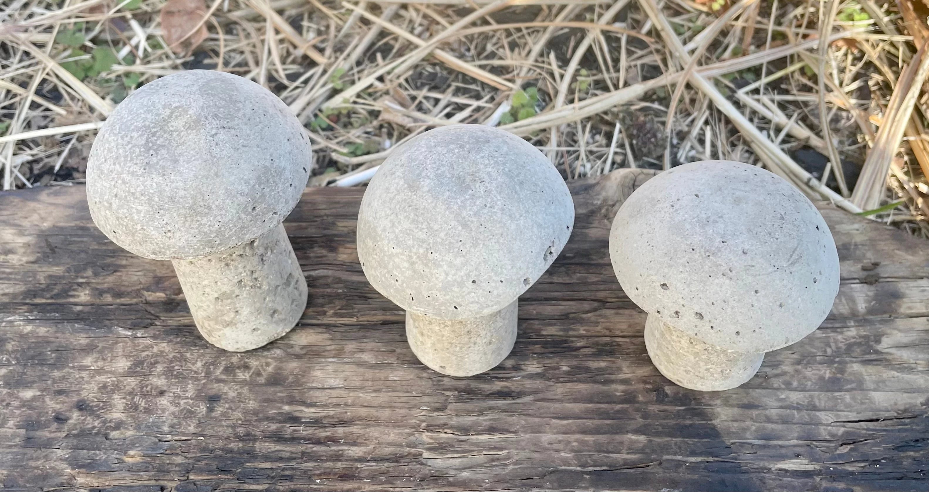 Cement Mushrooms Hypertufa Garden Decor for Fairy Garden D405