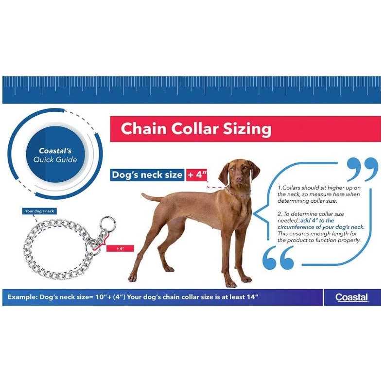 Coastal Pet Herm Sprenger Steel Chain Dog Collar H53461