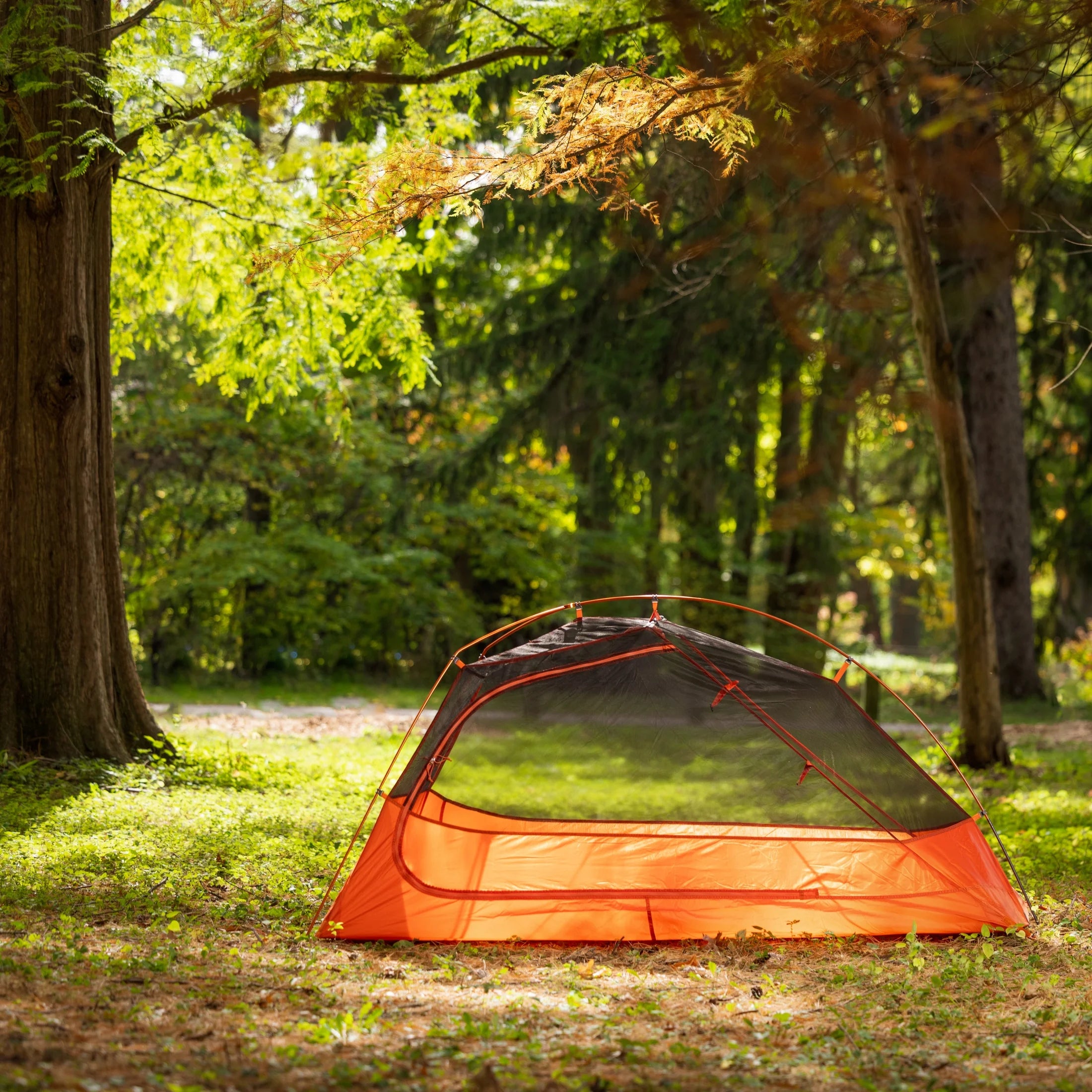 Ozark Trail 1-Person Lightweight Backpacking Tent, Orange Y6227