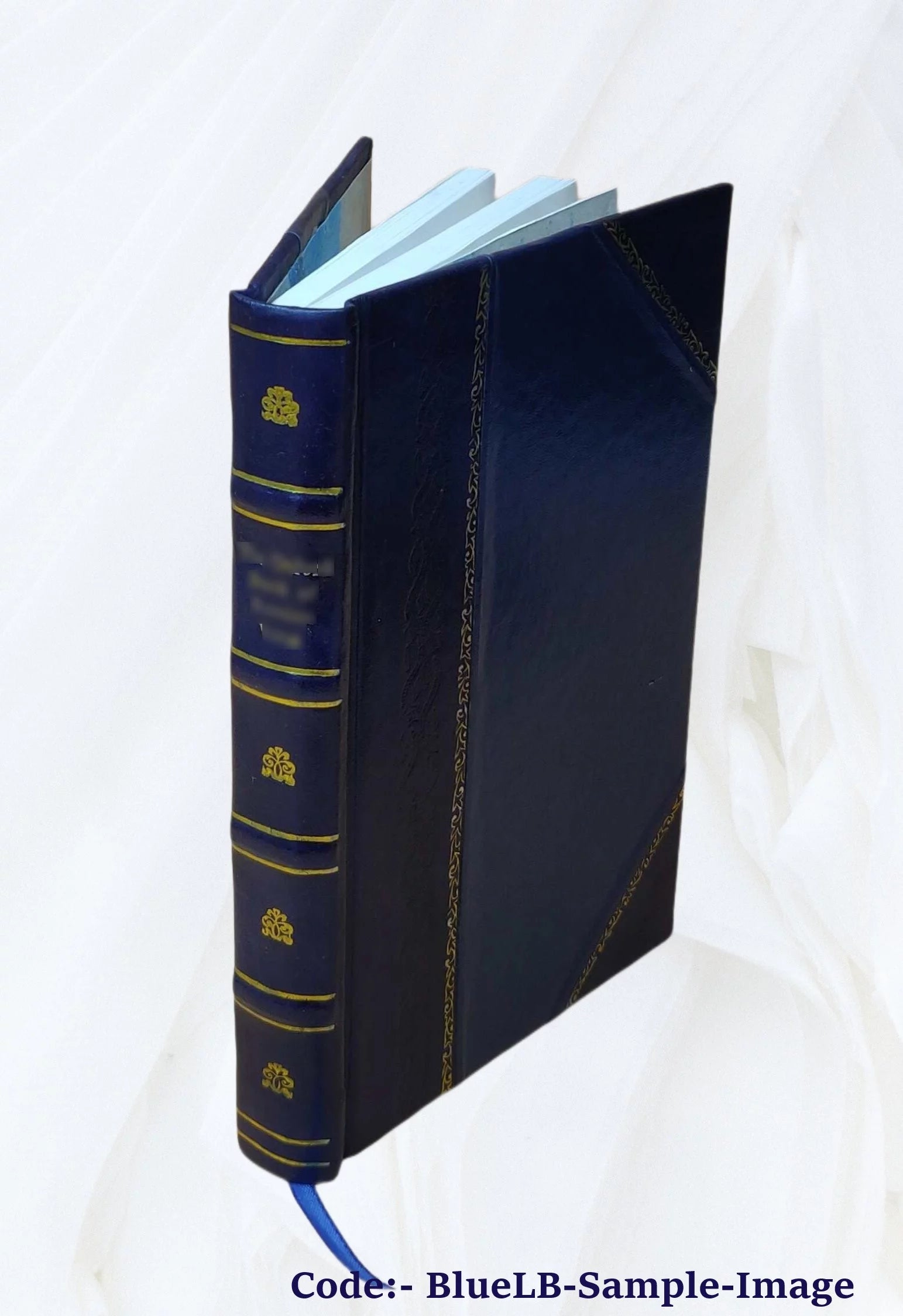 1906 Astoria City and Clatsop County Directory [Leather Bound] Y411233