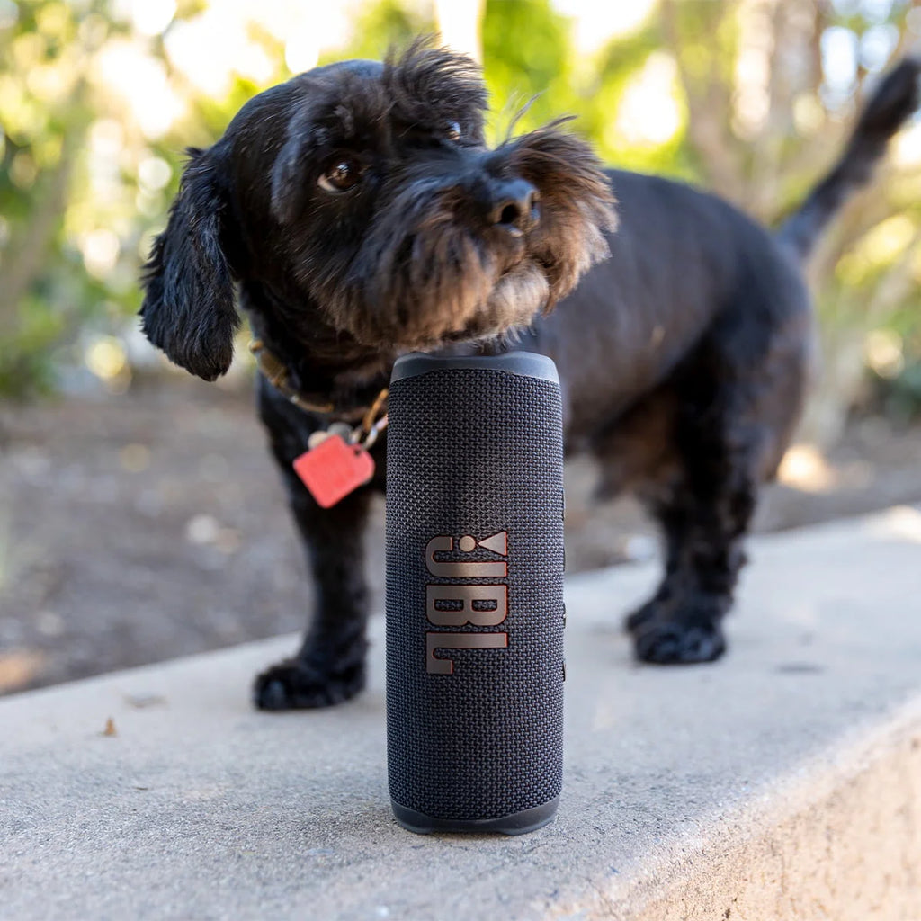 JBL Flip 6 Portable Waterproof Speaker Black P555