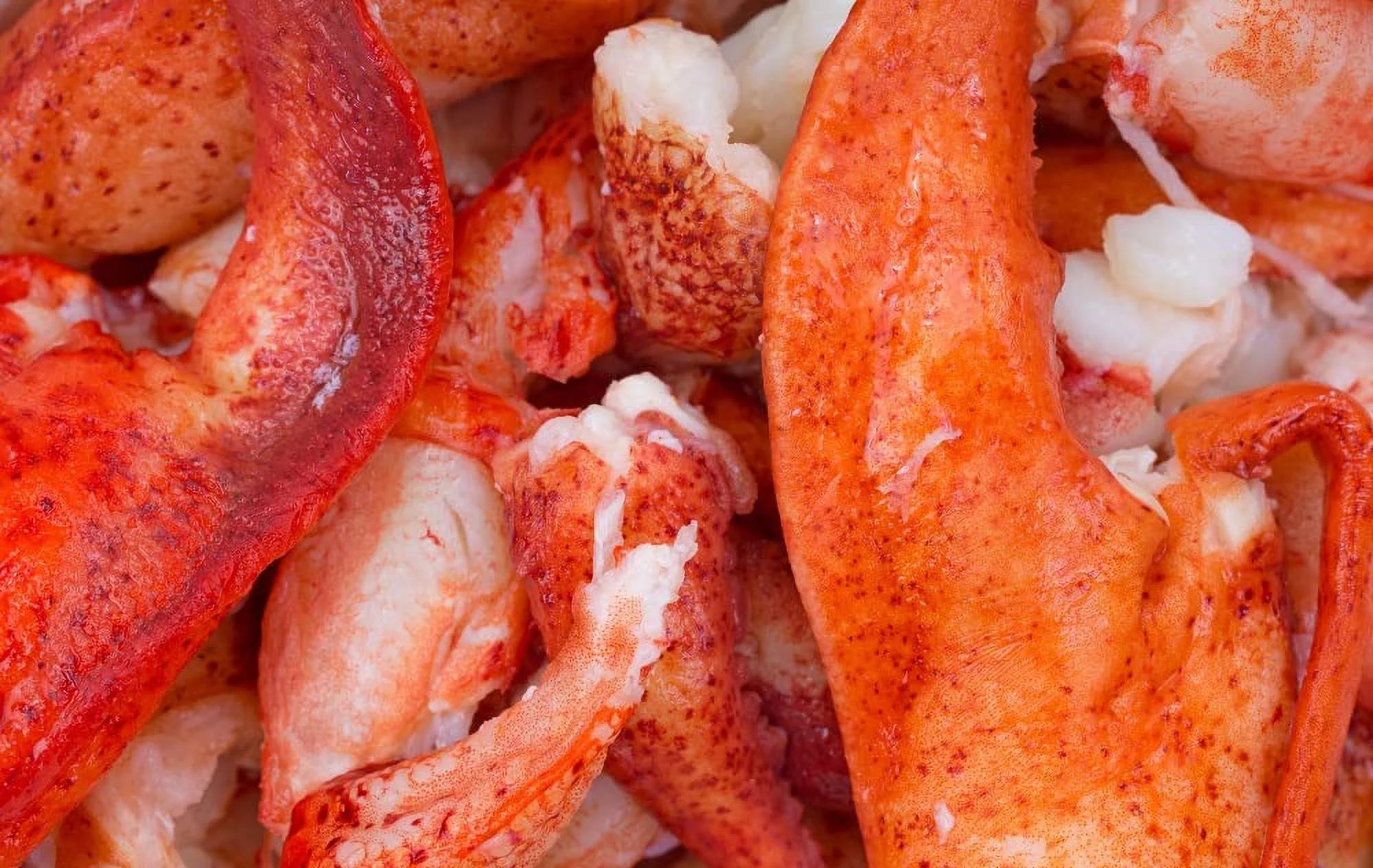 Lobster Meat Claw and Knuckle Meat, 2 lb Bag I233