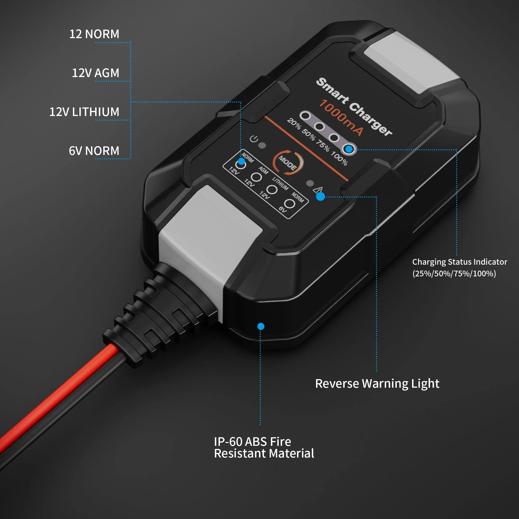 NEXPOW Battery Charger 6V/12V 1A Trickle Charger for Car Motorcycle L58840