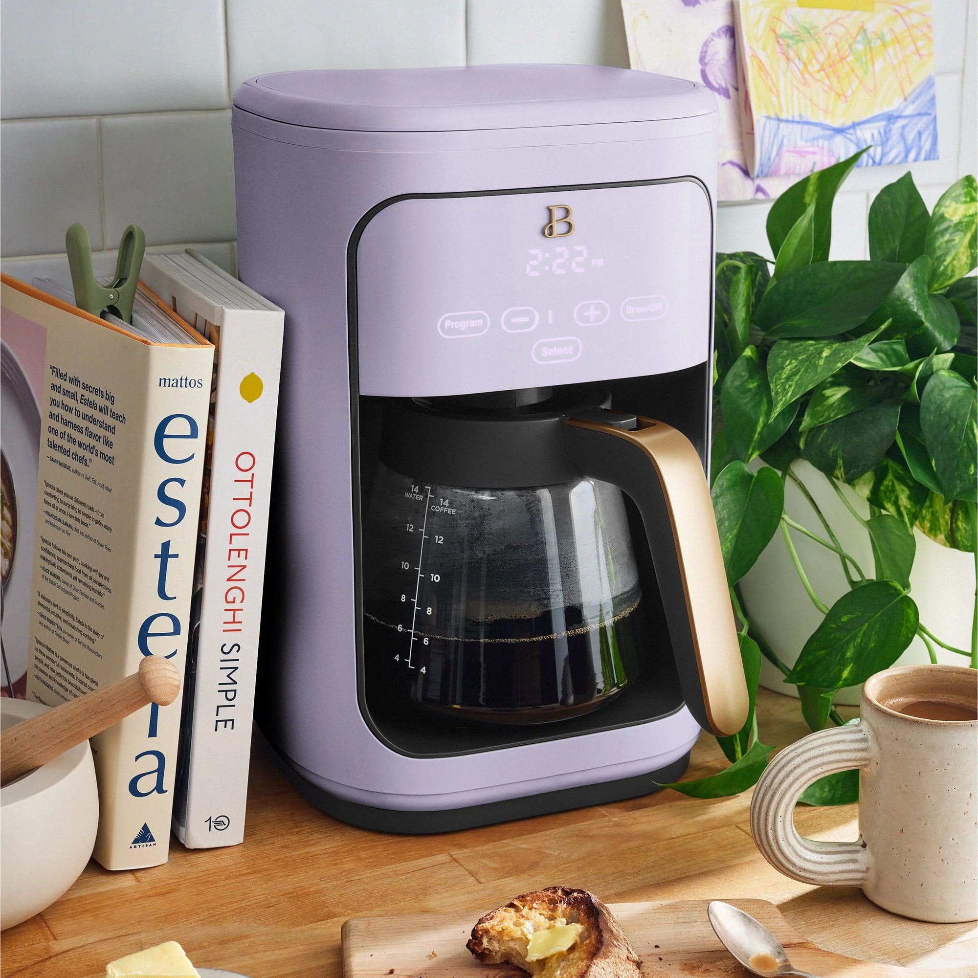 Beautiful 14-Cup Programmable Drip Coffee Maker with Touch Display, White Icing by Drew Barrymore F83994