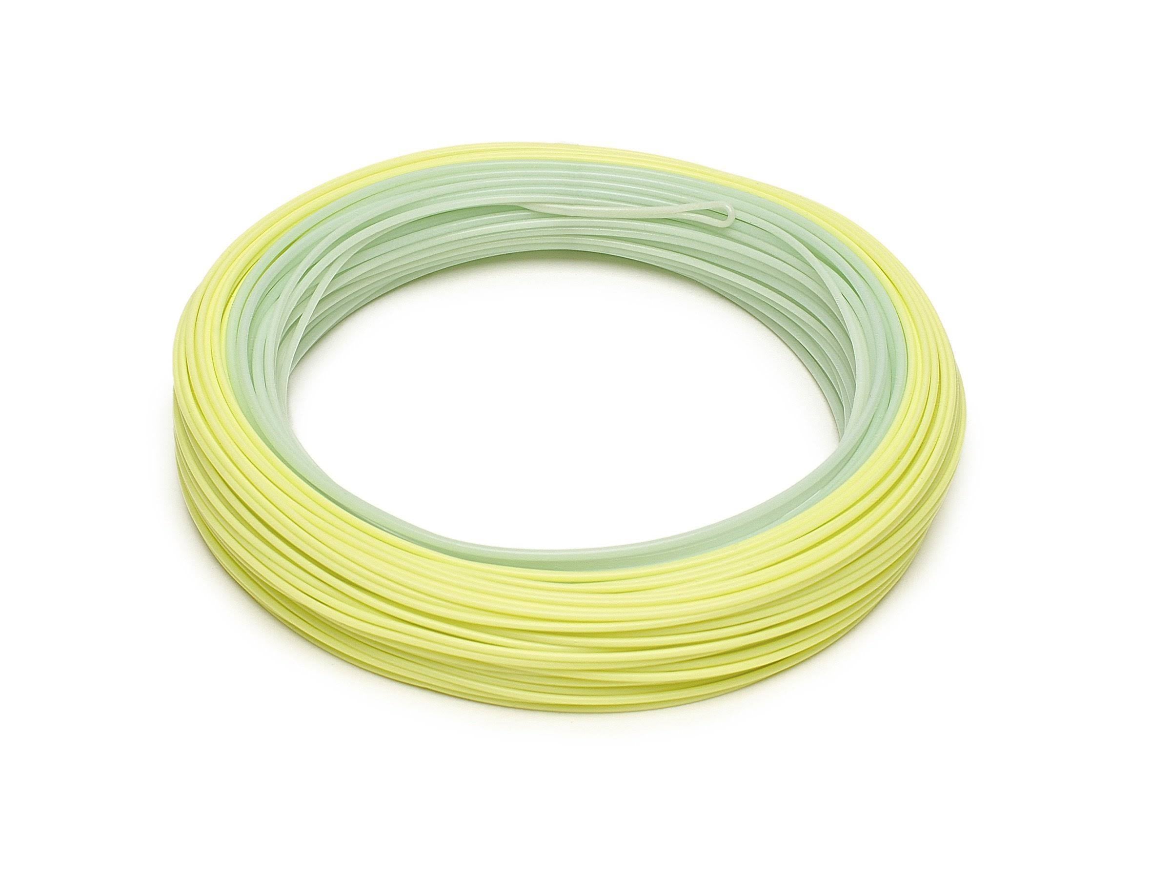Rio InTouch Salmo Steelhead WF6F Fly Line R922175