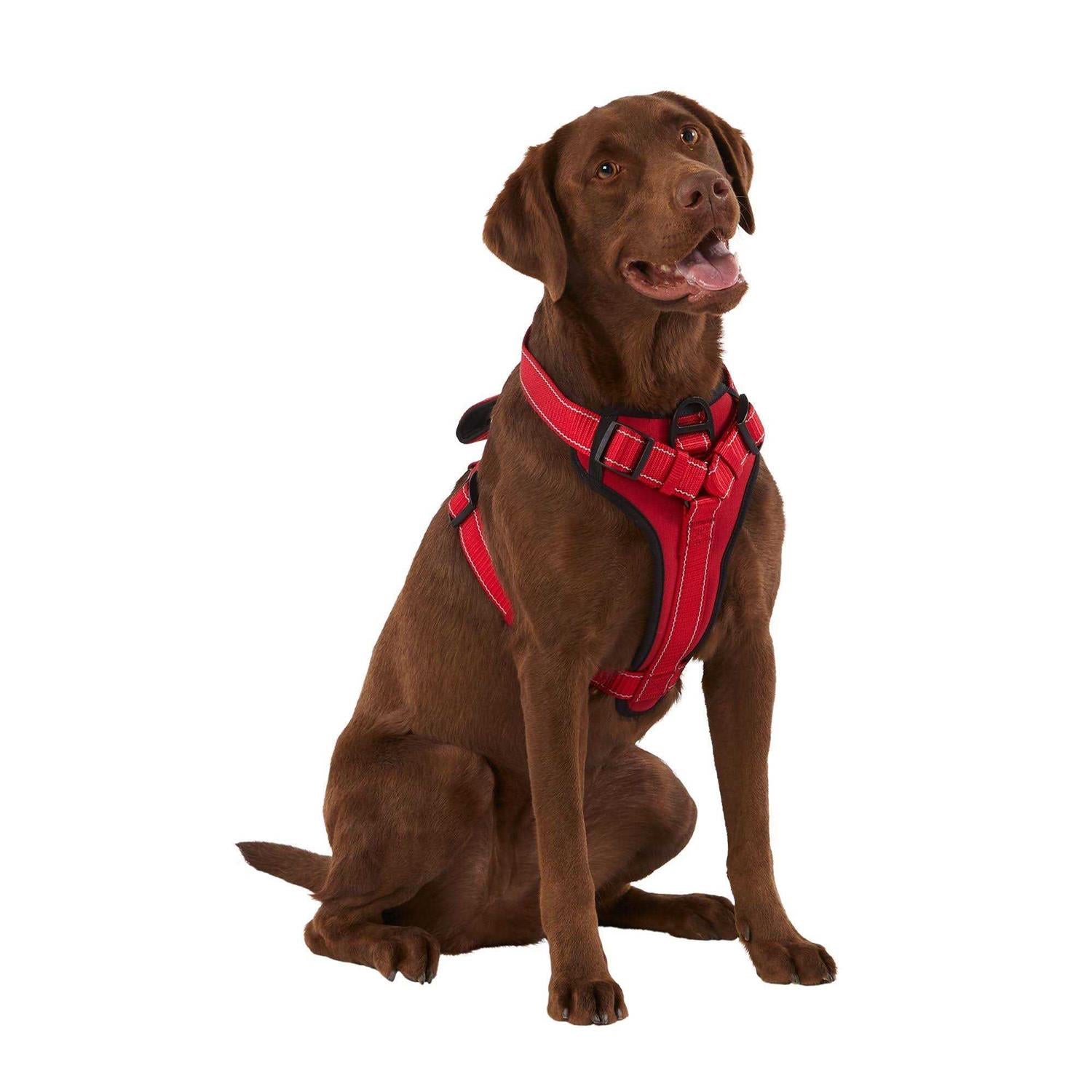KONG MAX Neoprene Padded Dog Harness G42387