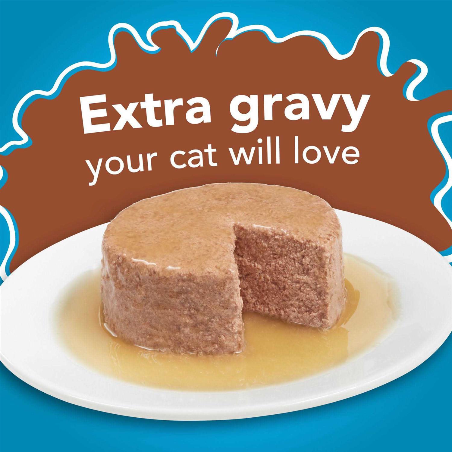 Purina Friskies Extra Gravy Pate Wet Cat Food T343175