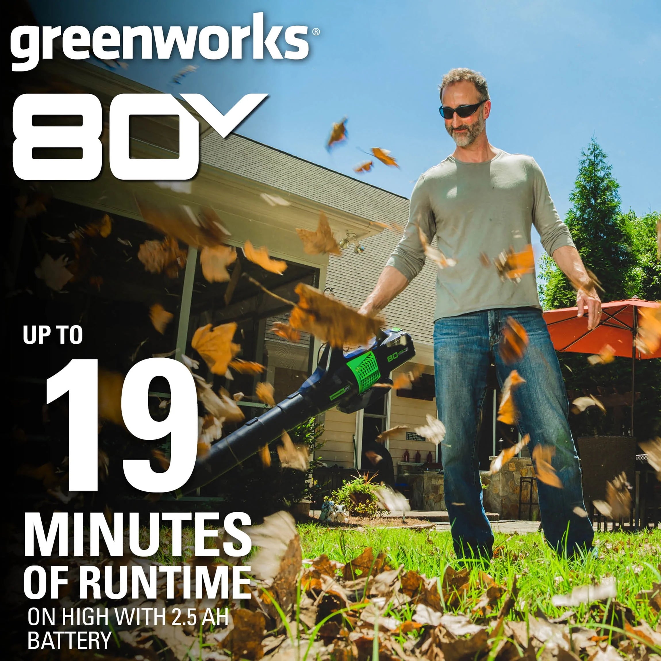 Greenworks 80V Brushless Leaf Blower with 2.5 Ah Battery & Charger G82041