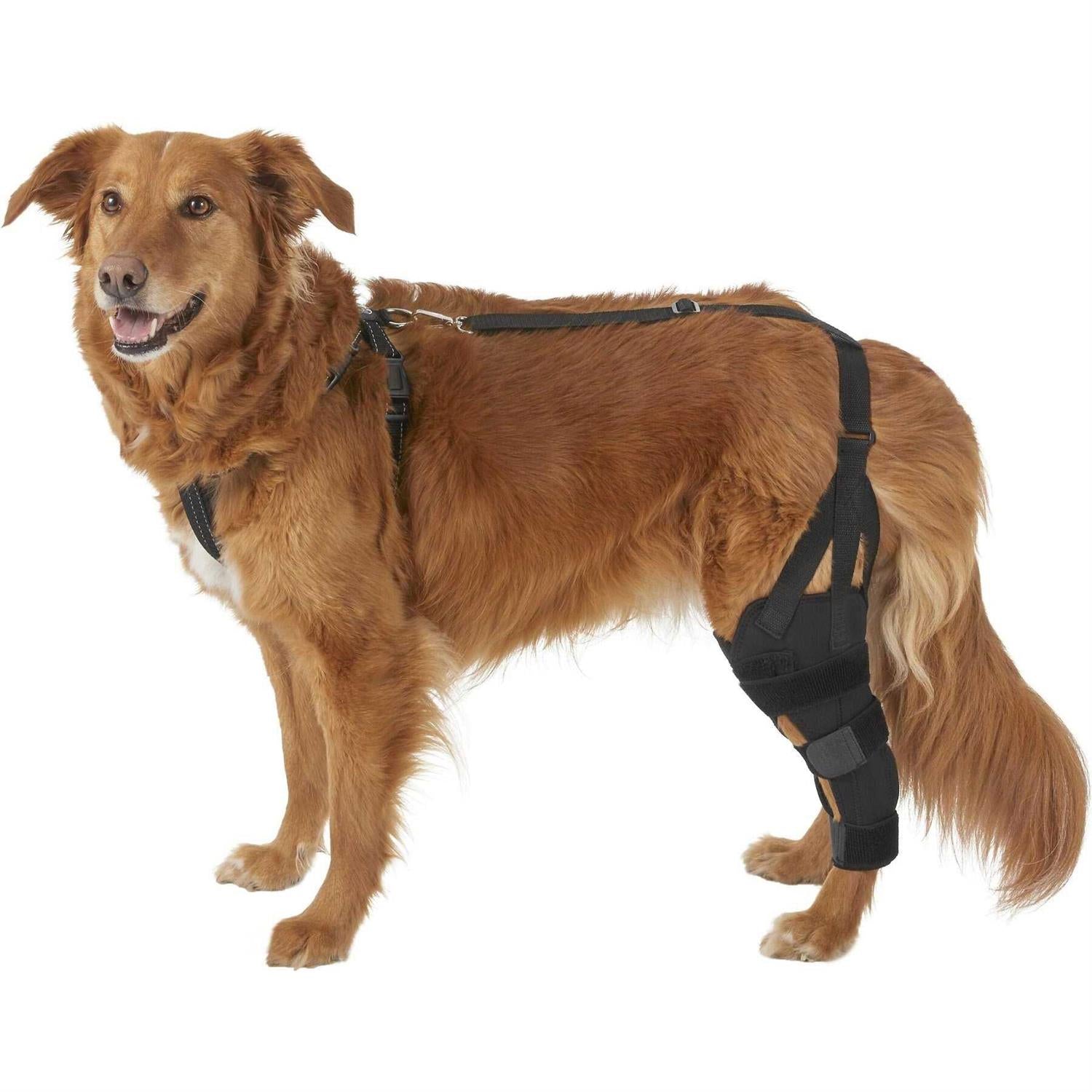 Labra Dog Canine K9 Knee Stifle Brace Wrap Metal Hinged Flexible Support Treat ACL CCL Luxating Patella Cruciate Ligament Sprain Strain Tear Injuries