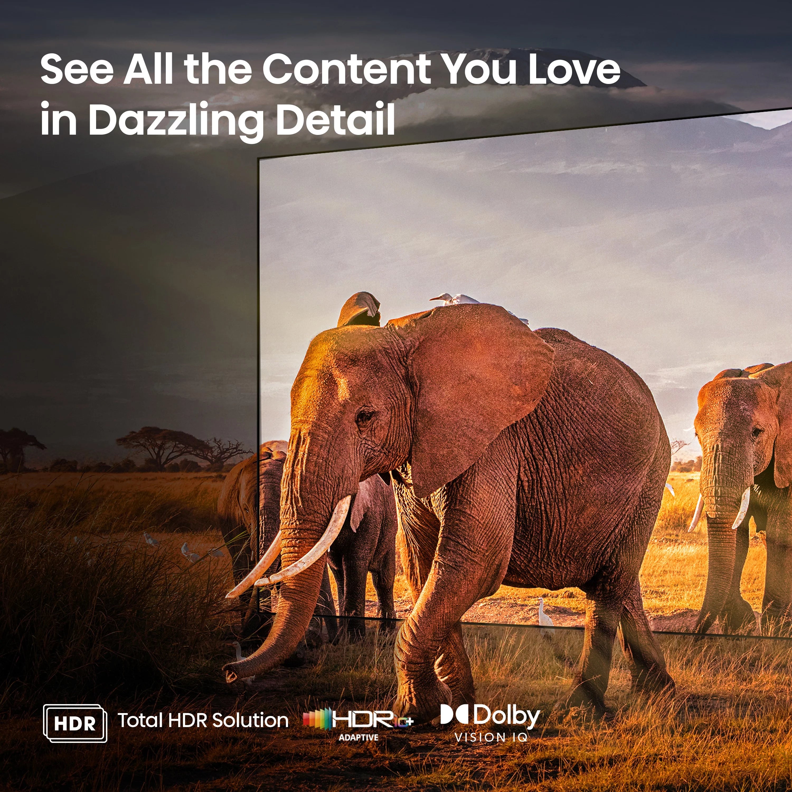 Hisense 55-Inch Class U6 Series Mini-LED QLED Google Smart TV (55U6K) M29951