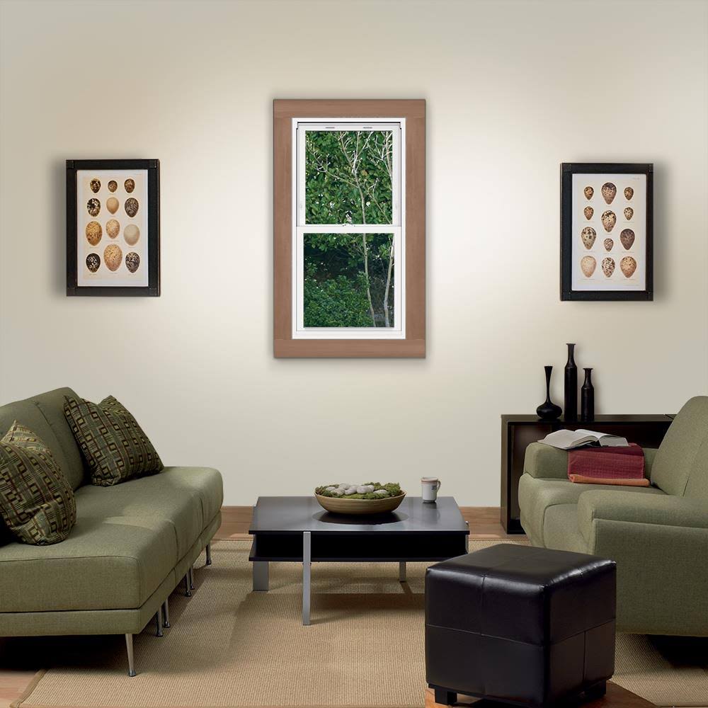 JELD-WEN V2500 Vinyl Double Hung Replacement Window 28-in x 54-in F260