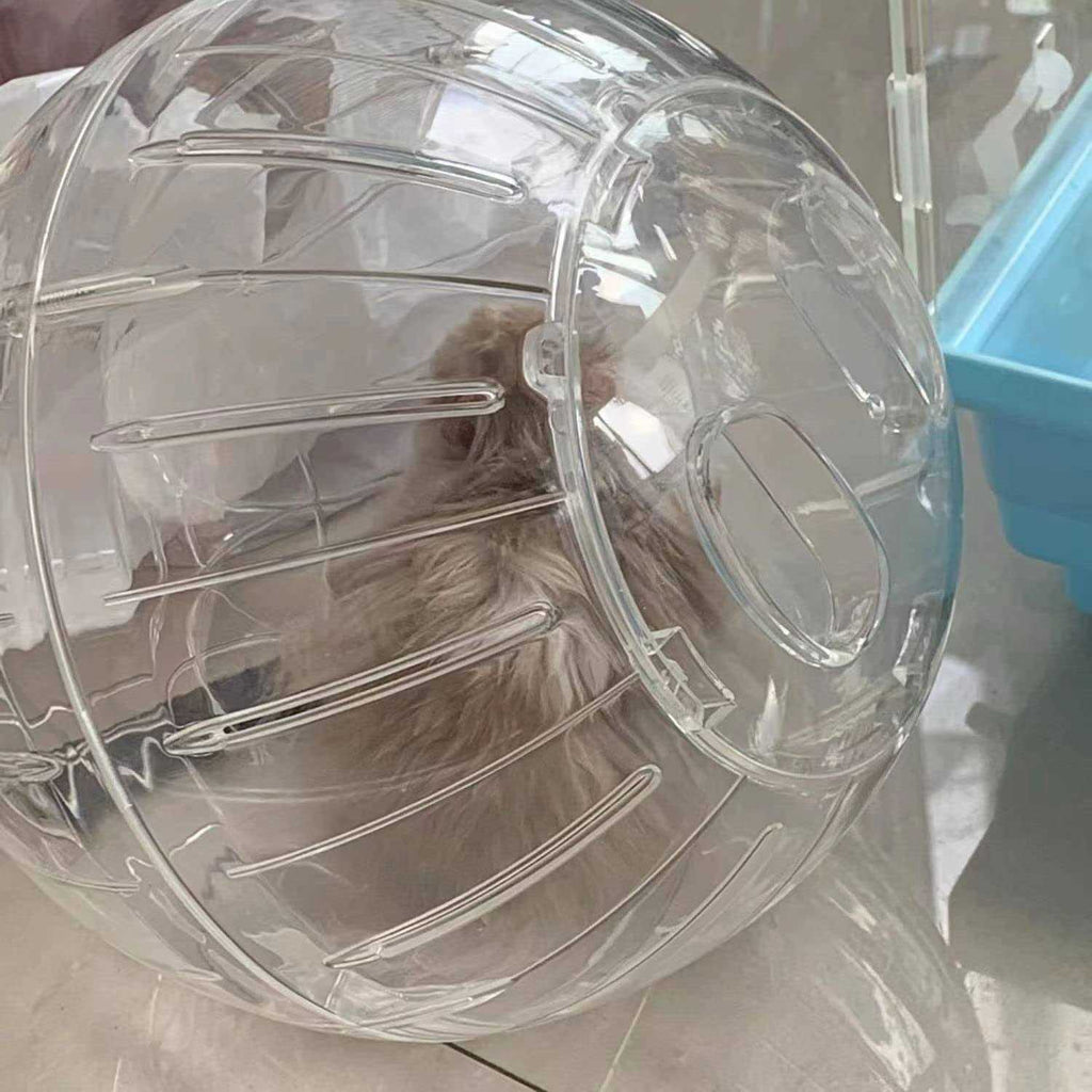 CHUQIANTONG Hamster Exercise Ball Transparent Silent Wheel for Small Animals W523