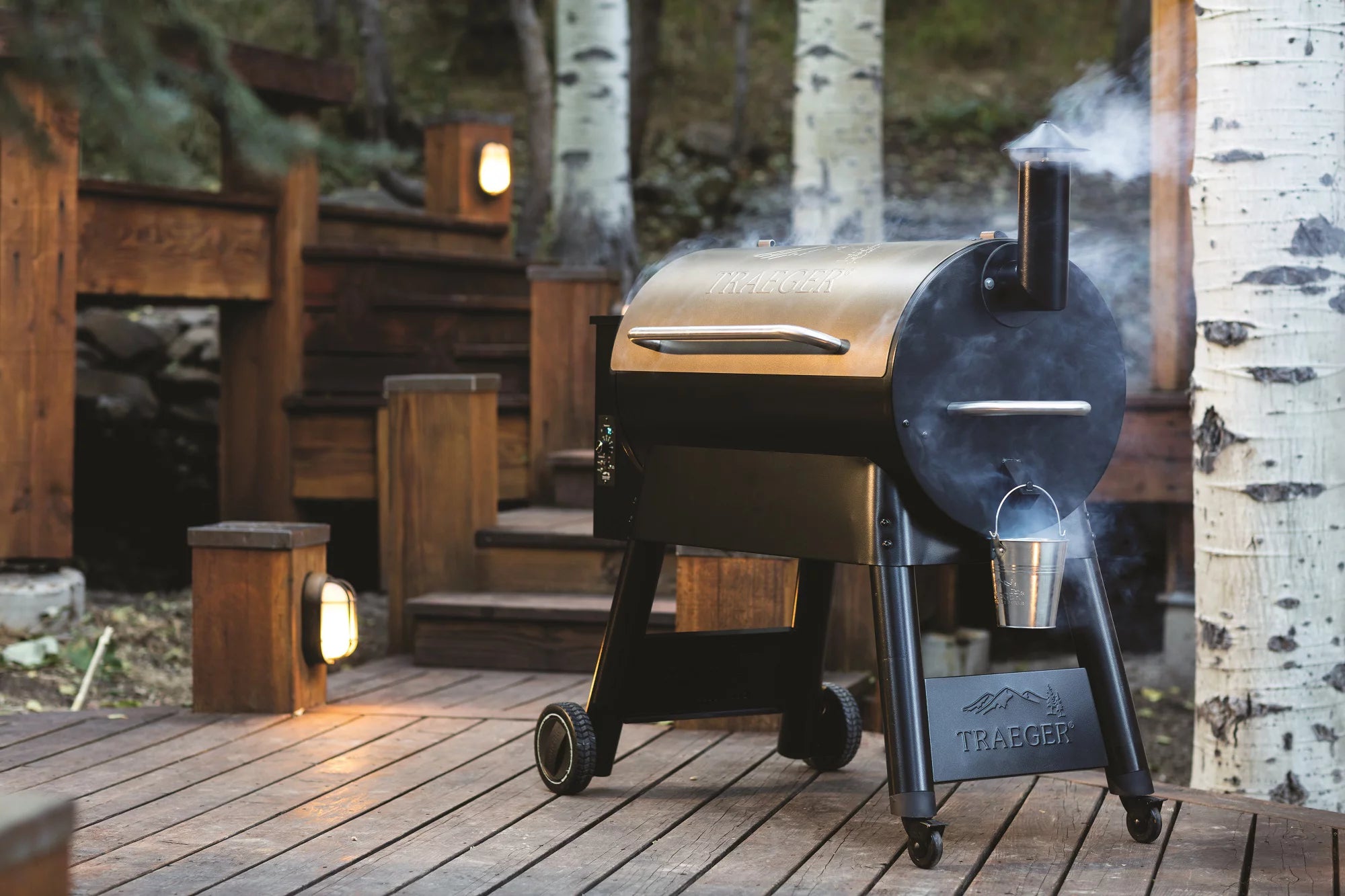 Traeger Pro 34 Wood Pellet Grill and Smoker, Bronze B87670