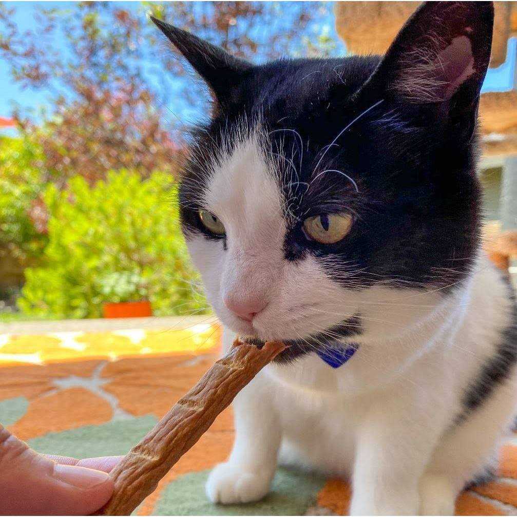 Vitakraft PurrSticks Chicken Cat Treats E13842