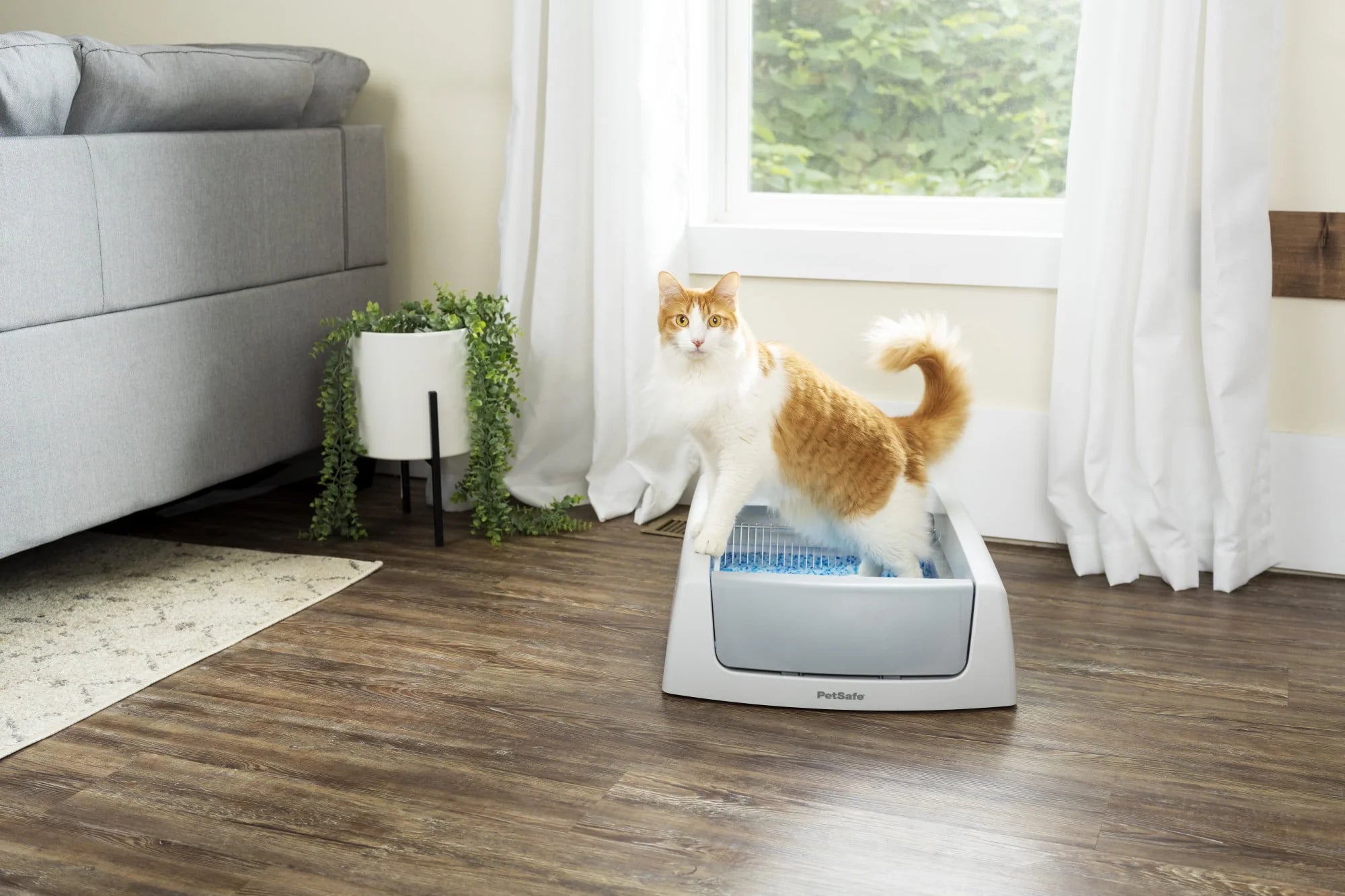 PetSafe ScoopFree Crystal Classic Self-Cleaning Cat Litter Box, Gray W9015