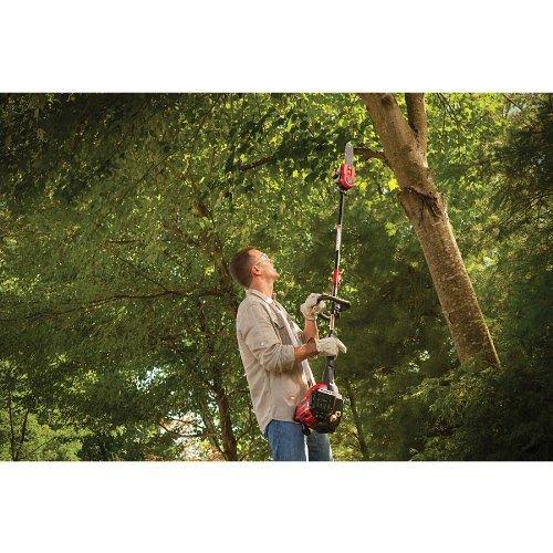 Trimmer Plus PS720 8-Inch Pole Saw G523050