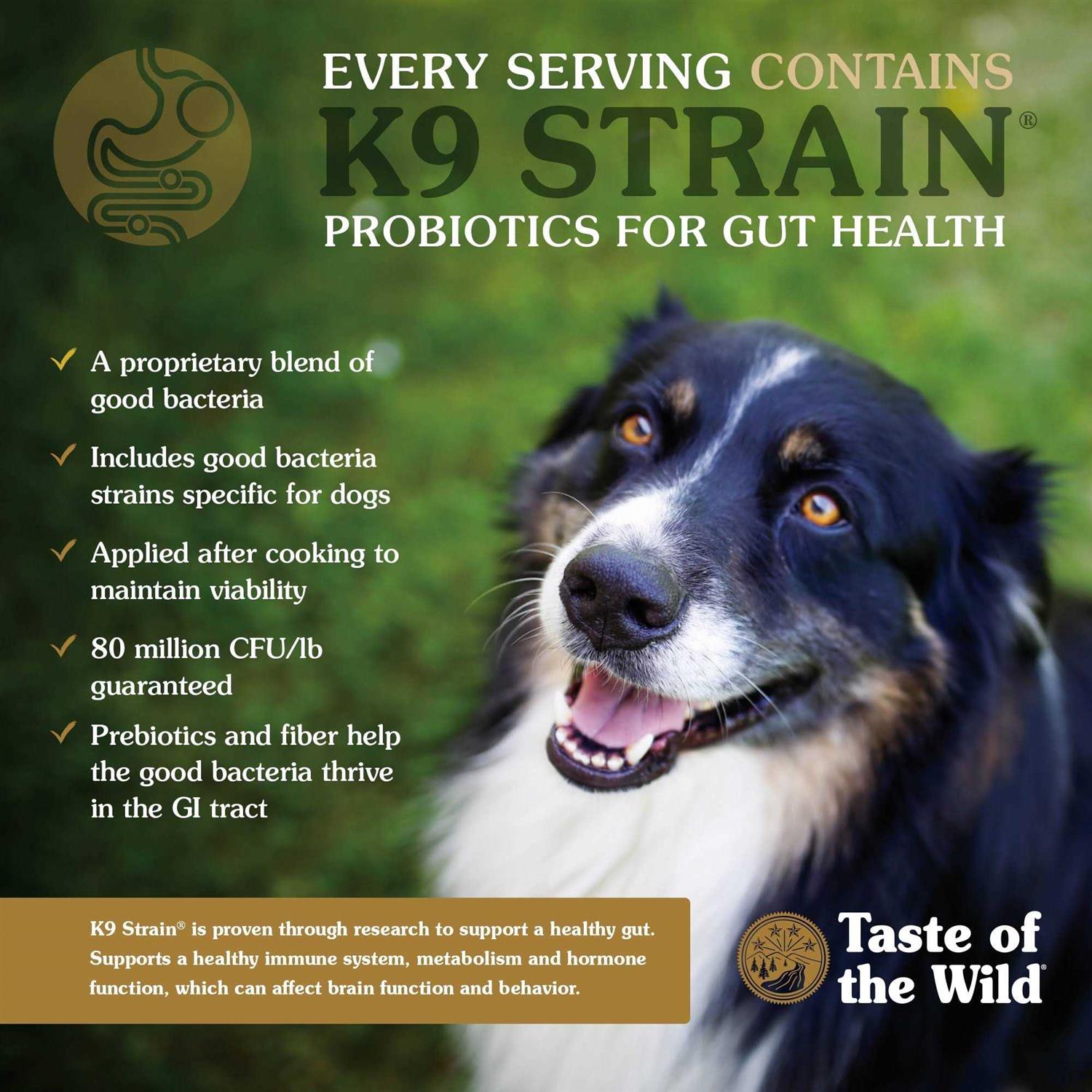 Taste of the Wild Ancient Mountain Roasted Lamb Dog Food K625