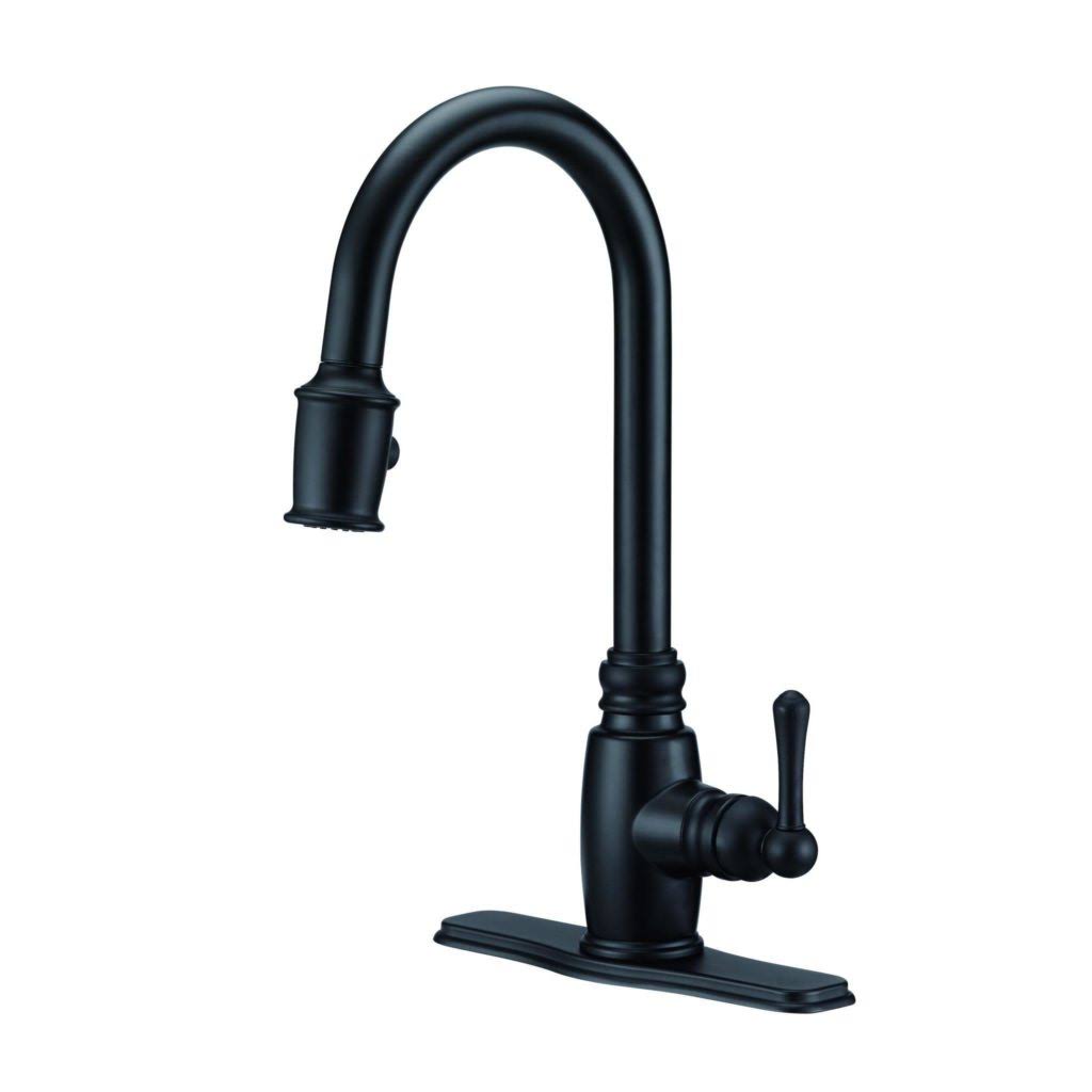Danze D455557 Opulence Single Handle Pull-Down Kitchen Faucet Chrome A60078