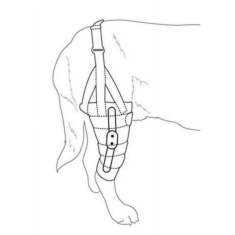 Labra Dog Canine Knee Stifle Brace Wrap Metal Hinged Support Q49063