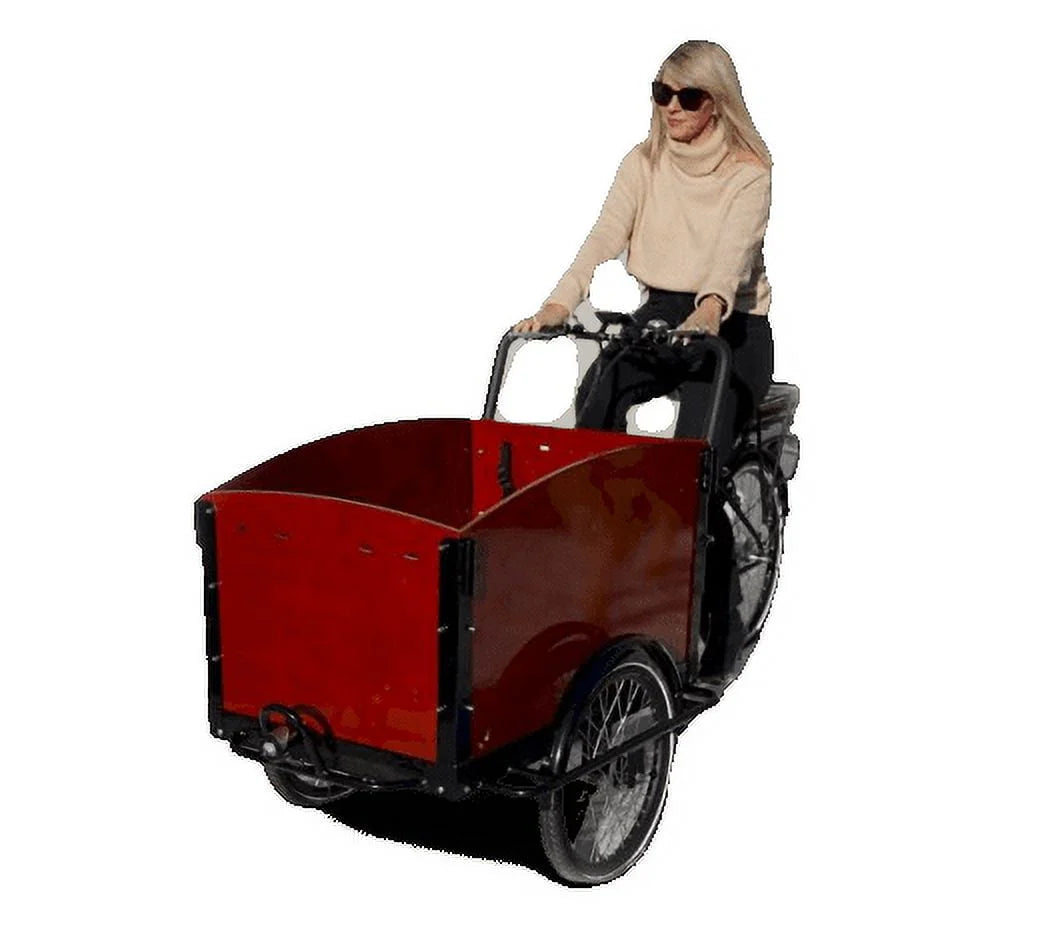Classic Electric Dutch Cargo Tricycle Bike for Family and Cargo U499