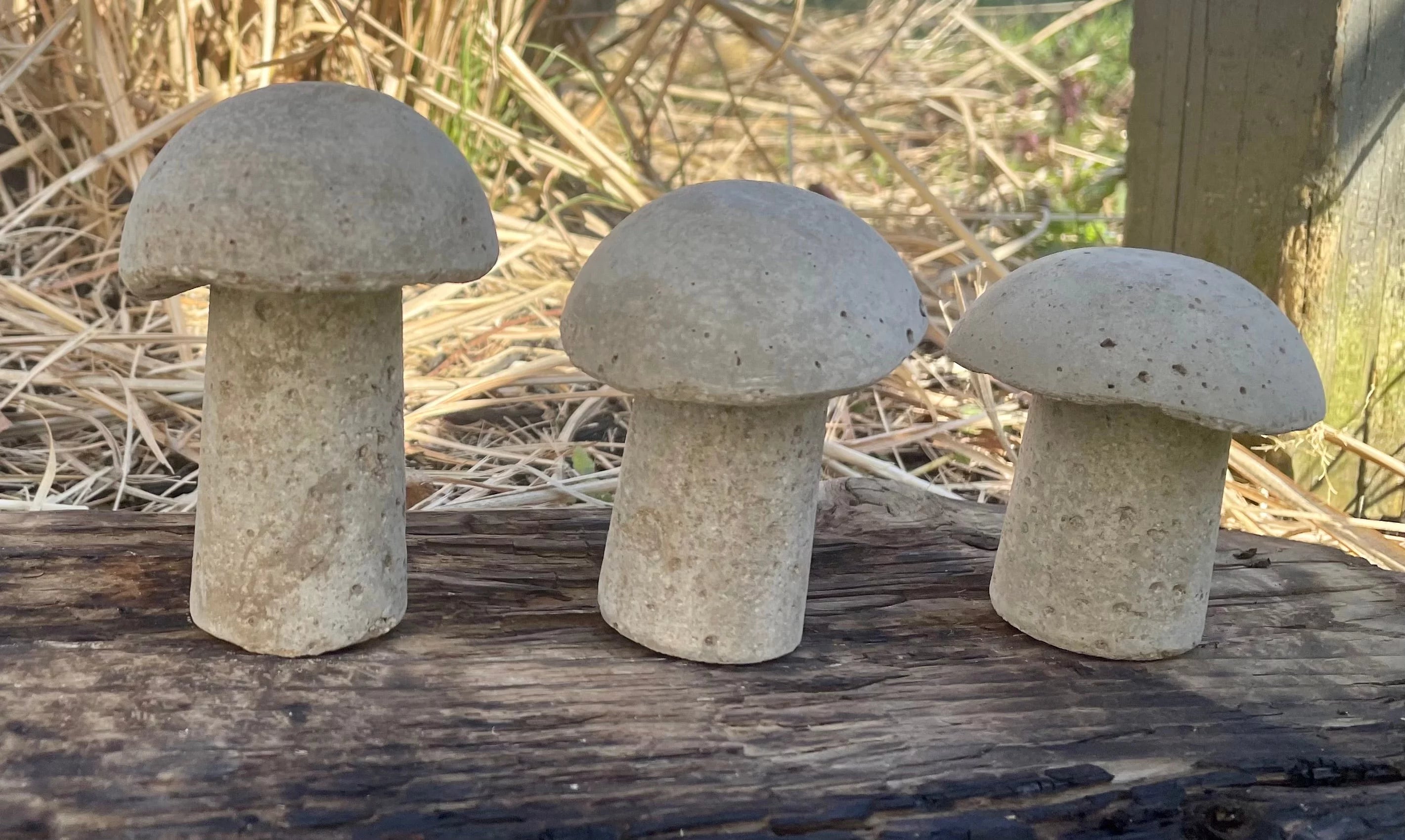 Cement Mushrooms Hypertufa Garden Decor for Fairy Garden D405