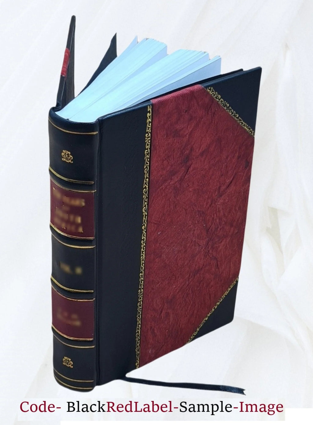 1906 Astoria City and Clatsop County Directory [Leather Bound] Y411233