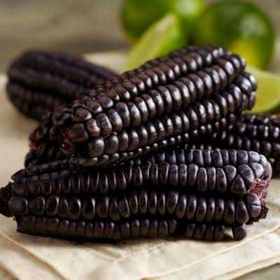 Incas Food Maiz Morado Purple Corn Cob U31489