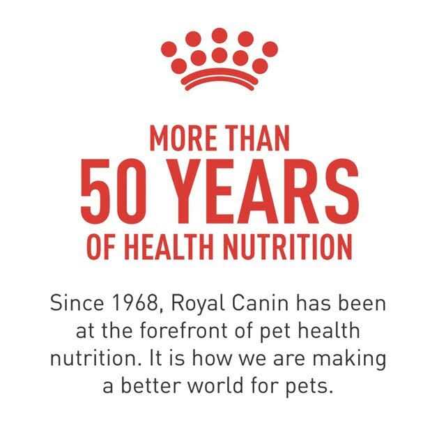 Royal Canin Veterinary Diet Adult Renal Support Early Consult Loaf in Sauce Canned Cat Food I792
