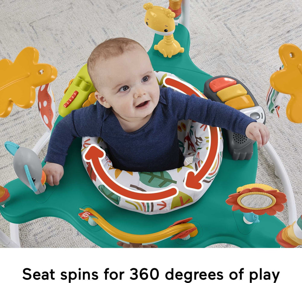 Fisher-Price Whimsical Forest Baby Bouncer Activity Center T950
