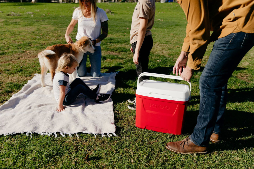 Igloo 28 QT Laguna Ice Chest Cooler, Red S4205