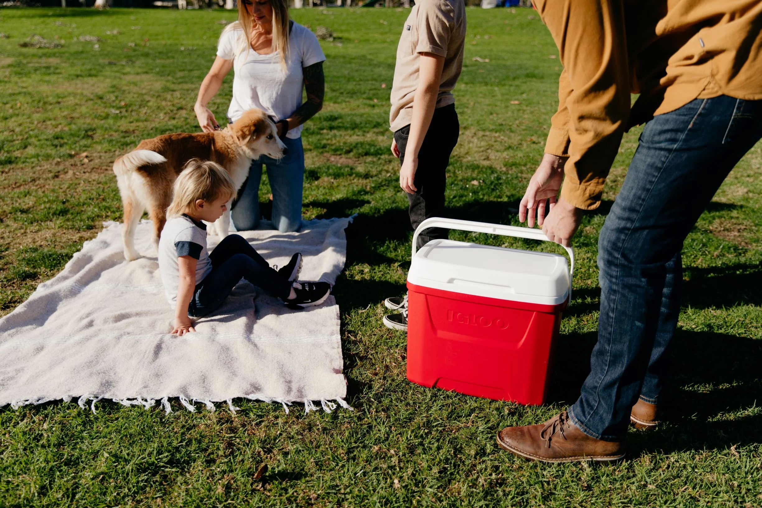 Igloo 28 QT Laguna Ice Chest Cooler, Red S4205