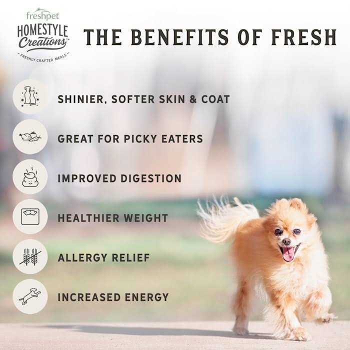 Freshpet Homestyle Creations Chicken Patties Adult Wet Dog Food L2166