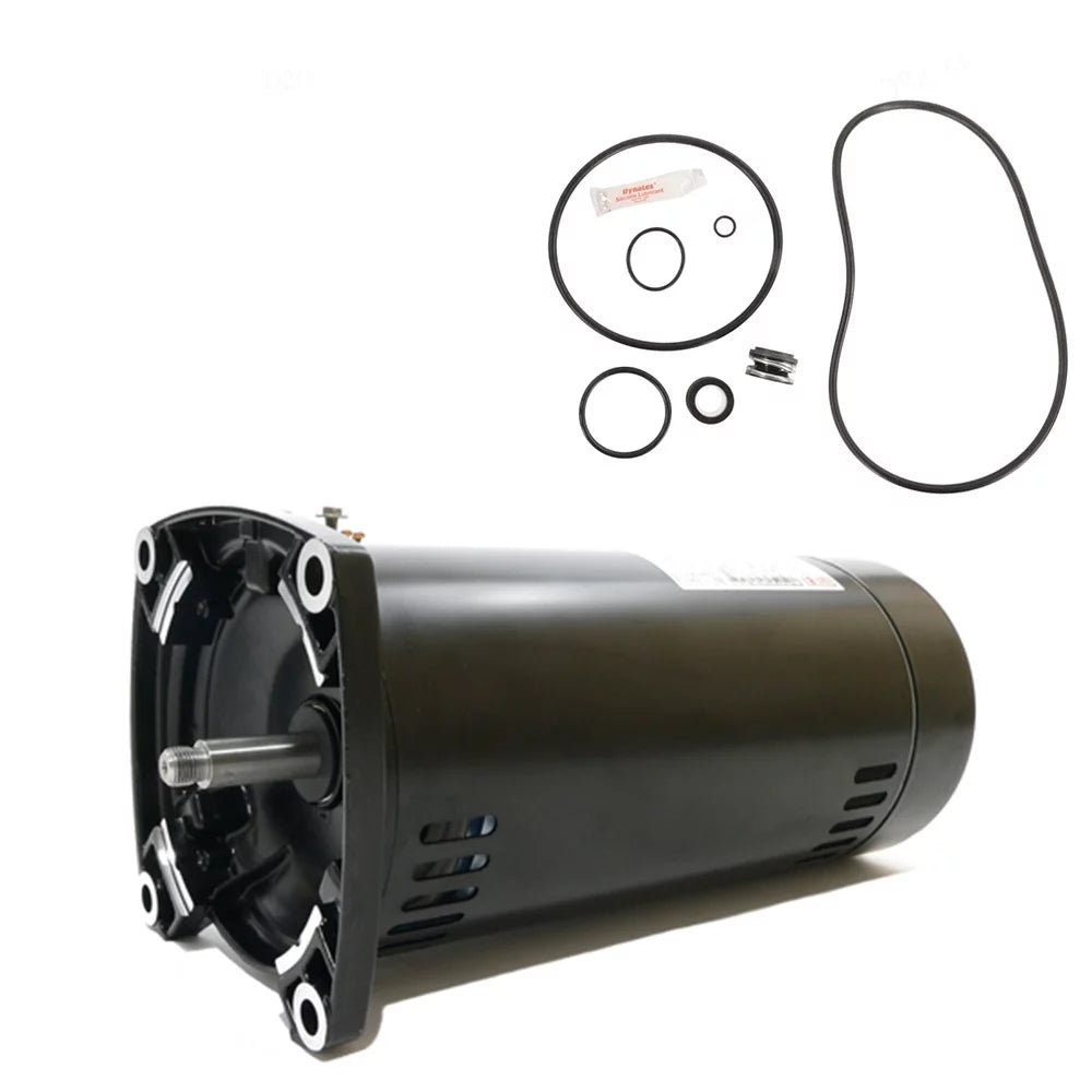 Puri Tech Sta-Rite Max-E-Pro 1HP P6RA6E-205L Replace Motor Kit AO Smith USQ1102 Motor w/ GO-Kit-79