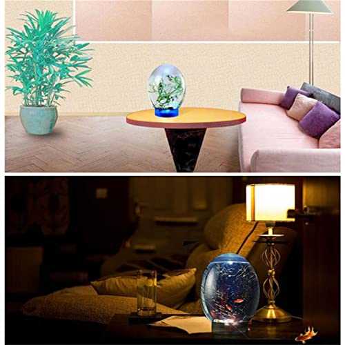 Mini Ecological Fish Tank Desktop Aquarium with LED Base, Black H9784