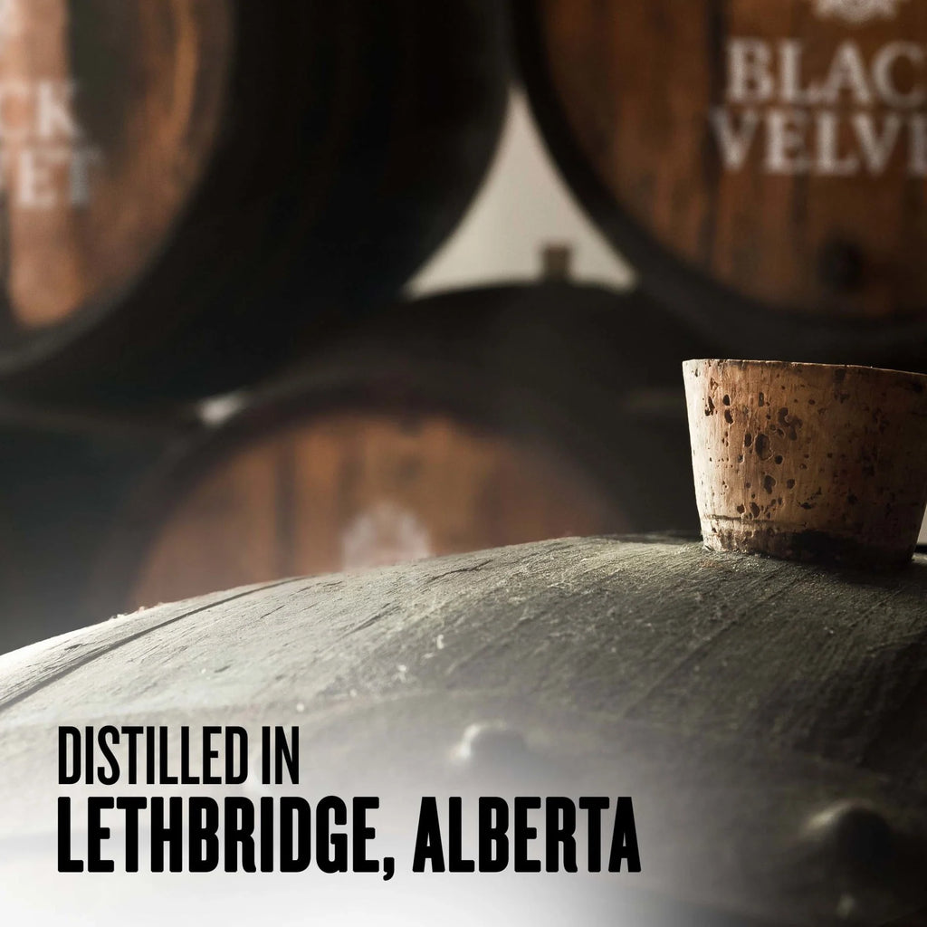Black Velvet Canadian Whisky Aged 3 YR, 1.75 L, 40% ABV I473360