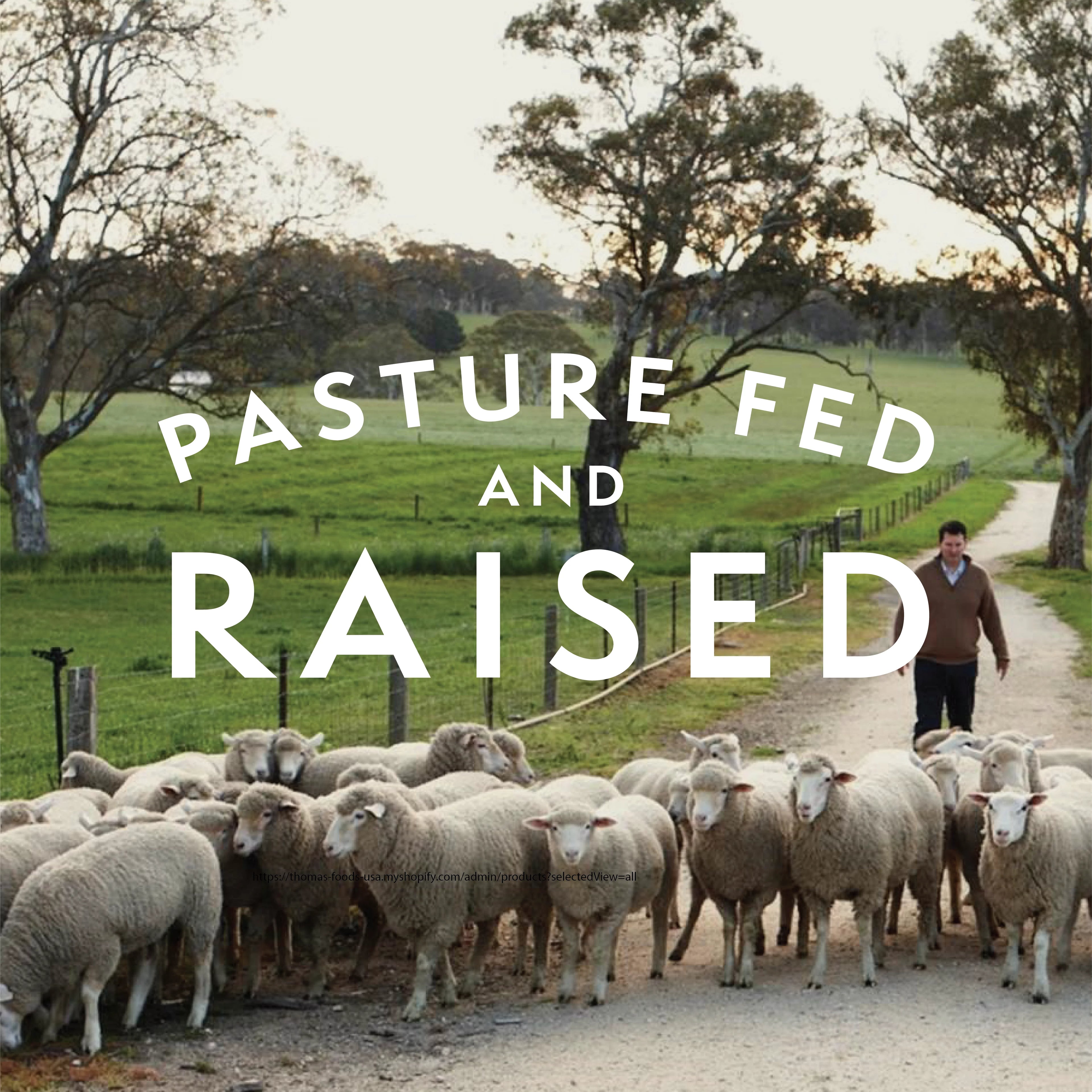 Thomas Farms Grass Fed Free Range Ground Lamb, 12 lb Y274364