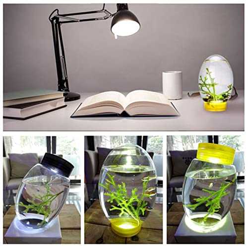 Mini Ecological Fish Tank Desktop Aquarium with LED Base, Black H9784