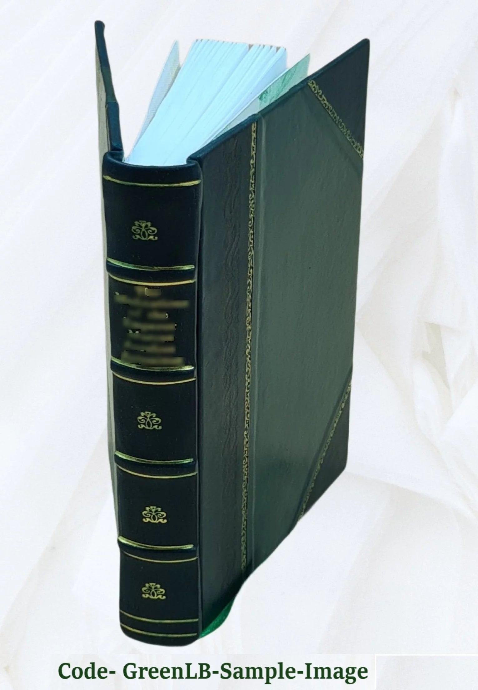 1906 Astoria City and Clatsop County Directory [Leather Bound] Y411233