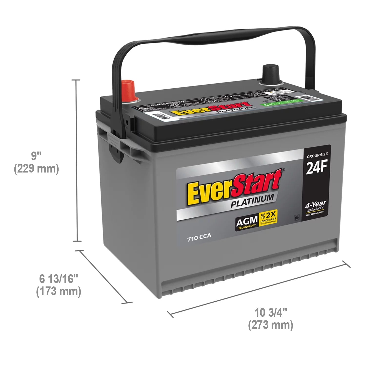 EverStart Platinum AGM Automotive Battery Group 24F 12V 710 CCA F176