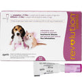 Revolution for Puppies & Kittens