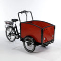 Classic Electric Dutch Cargo Tricycle Bike | Effortless Transportation for Your Family and Cargo