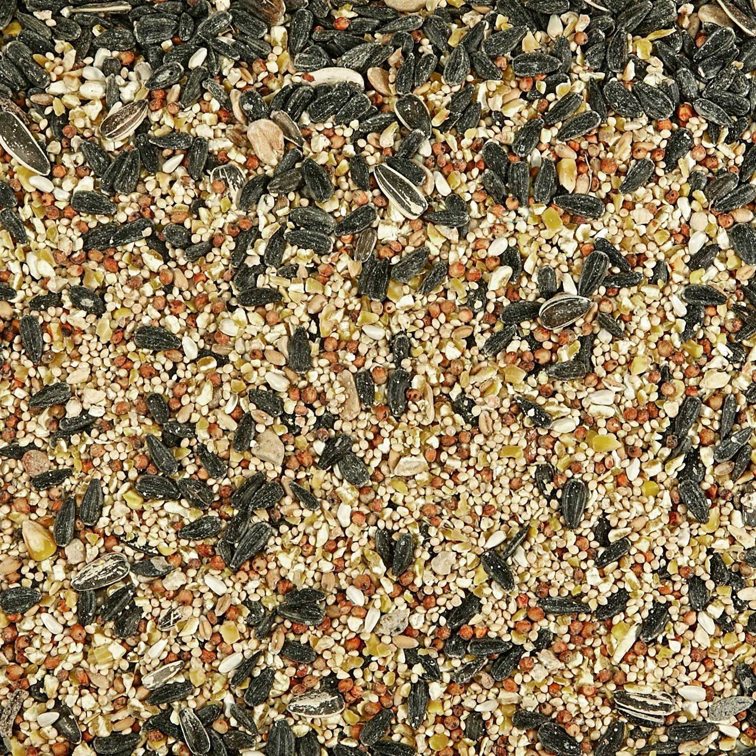 Kaytee Birders Blend Wild Bird Food Y625