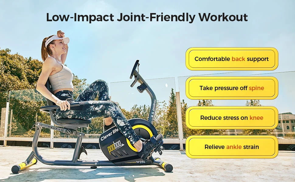 Pooboo Recumbent Exercise Bike Magnetic Resistance Indoor Cycling 380lb K92635