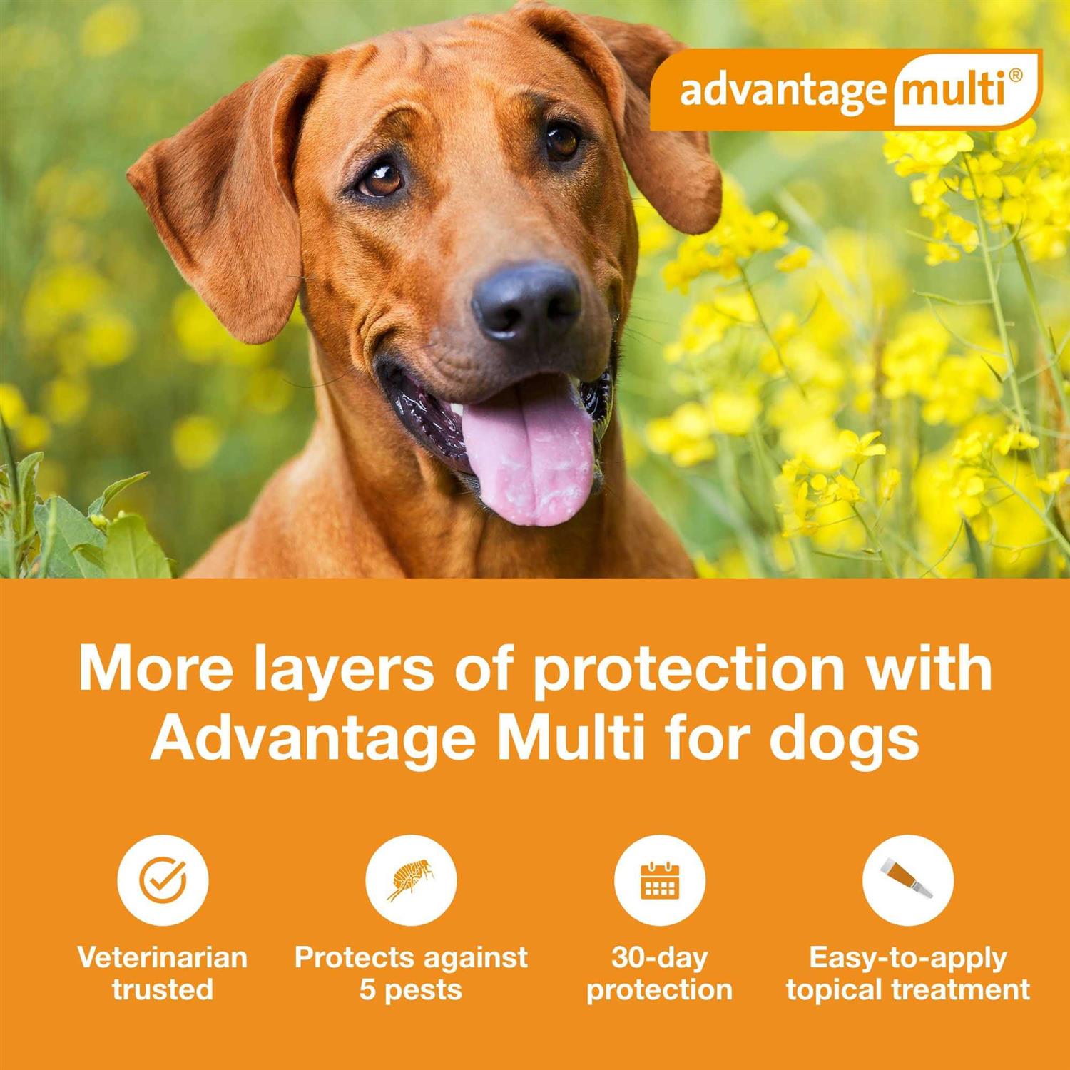 Advantage Multi for Dogs N9088