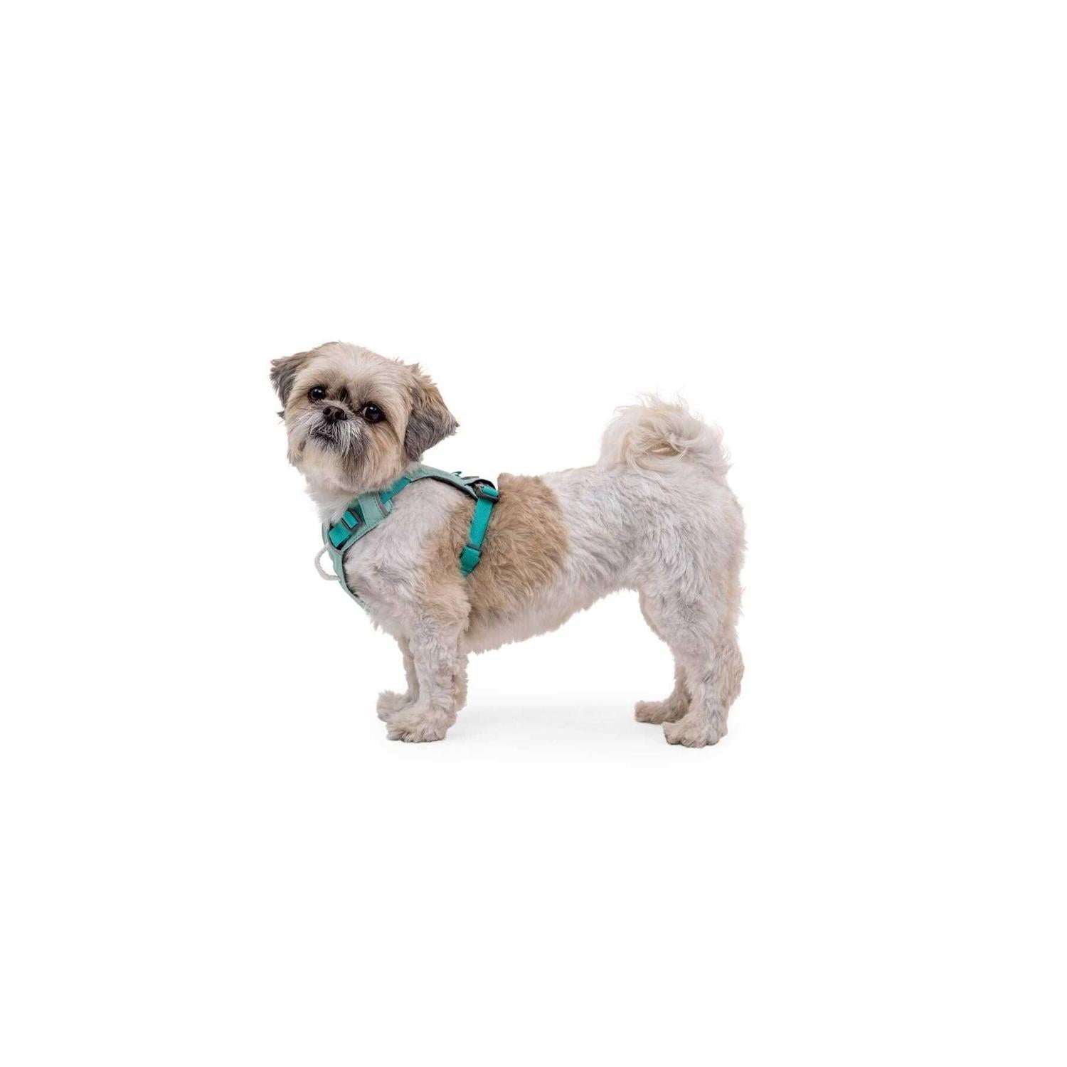 Ruffwear Hi & Light Dog Harness V37049