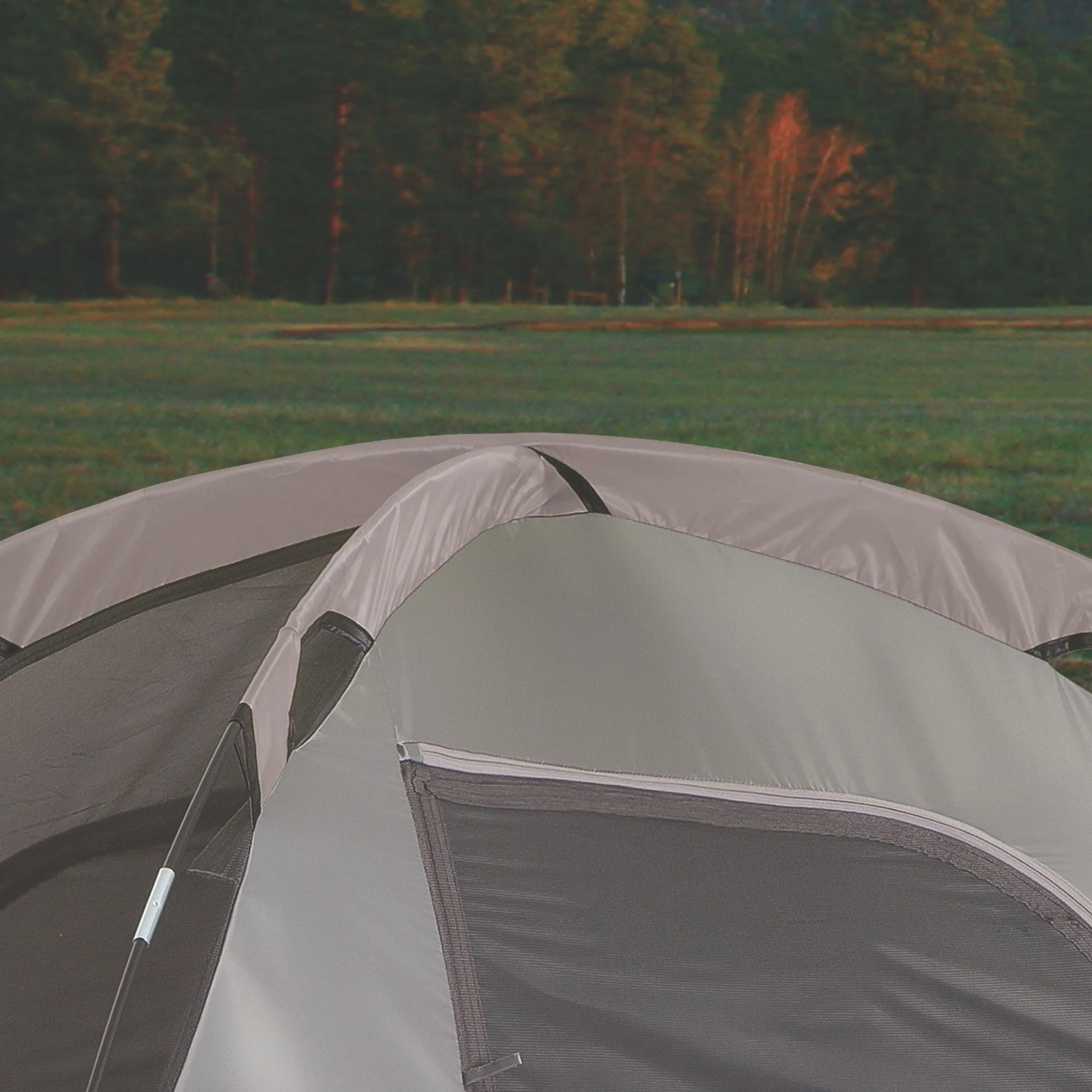 Coleman WeatherMaster 10 Person Tent with Room Divider T98362