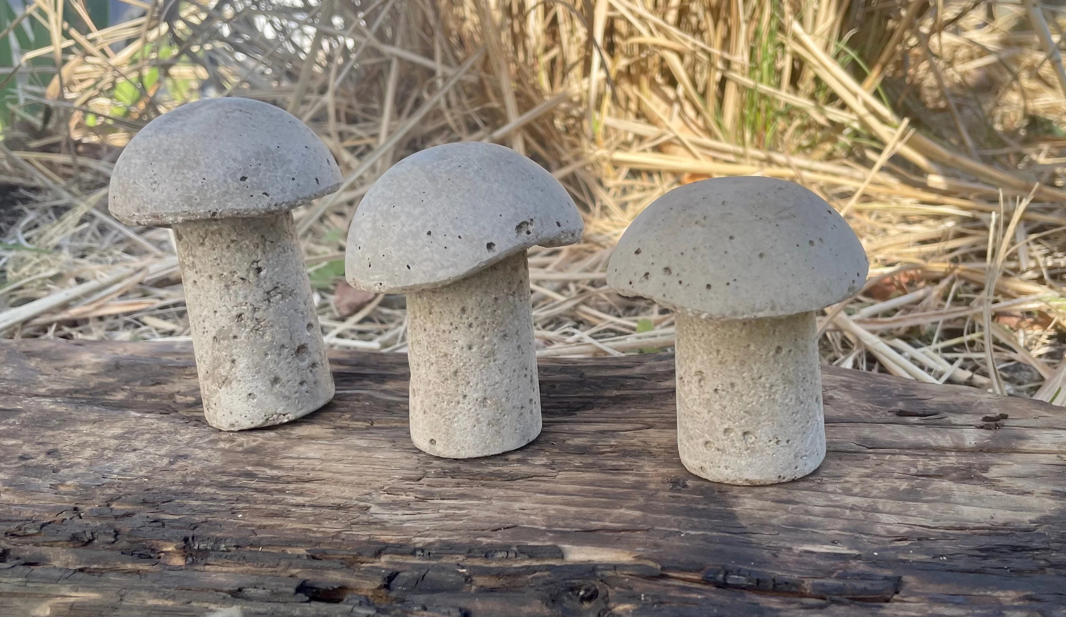 Cement Mushrooms Hypertufa Garden Decor for Fairy Garden D405