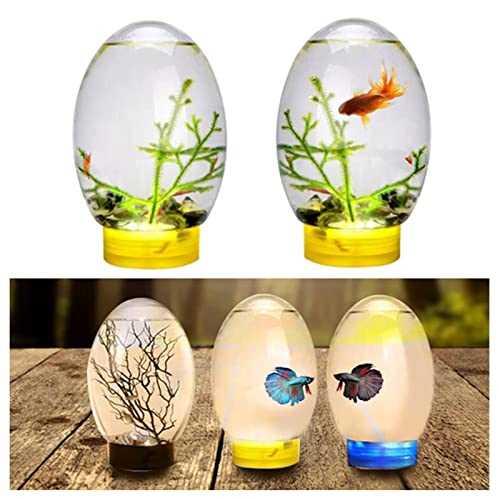 Mini Ecological Fish Tank Desktop Aquarium with LED Base, Black H9784